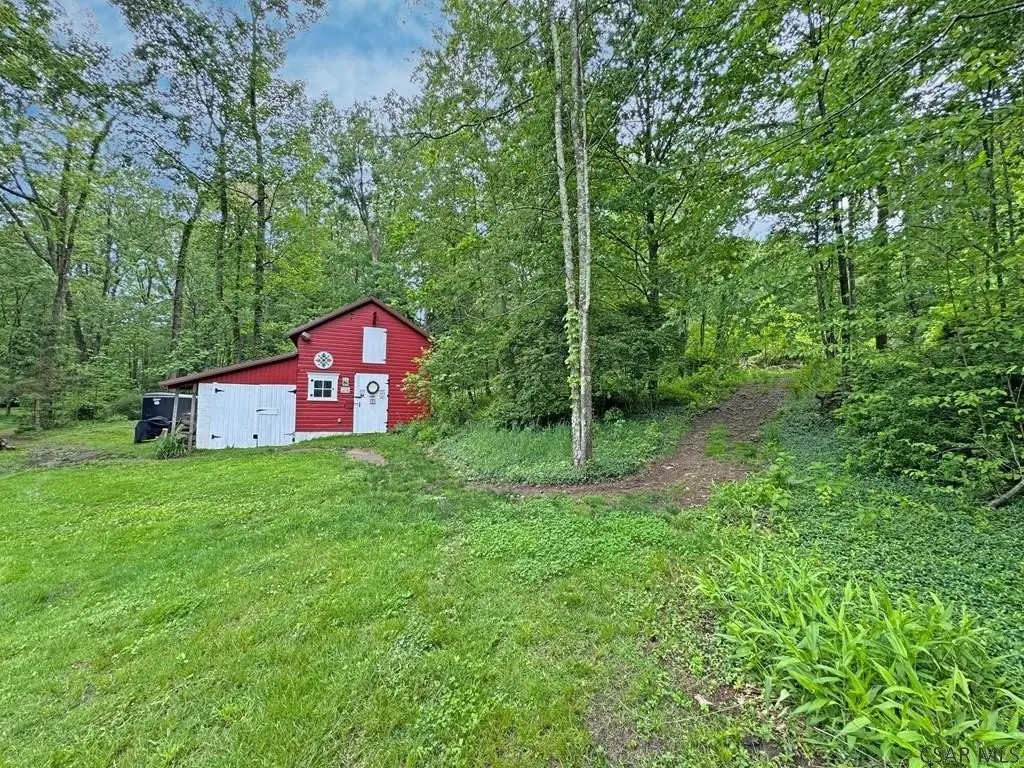 Picture 6