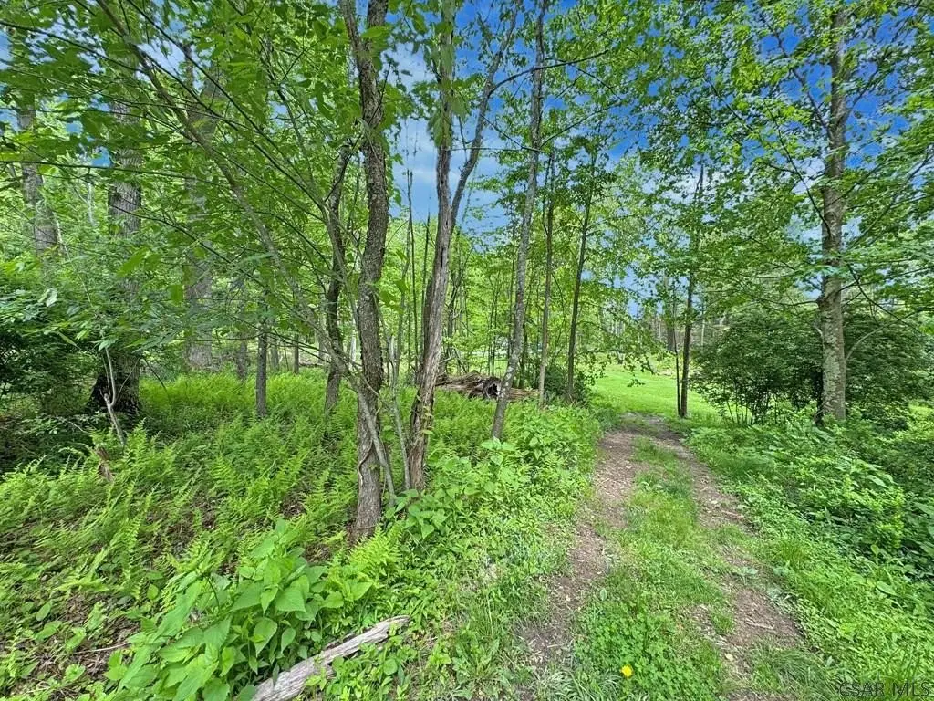 Picture 8