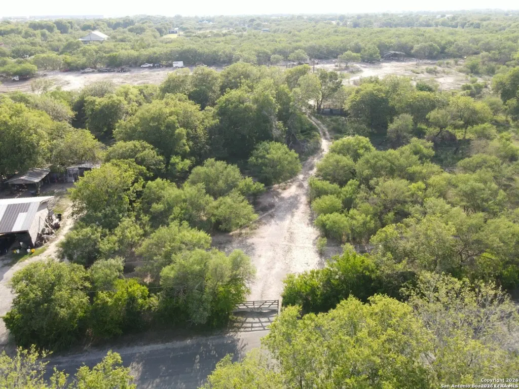 Picture 4