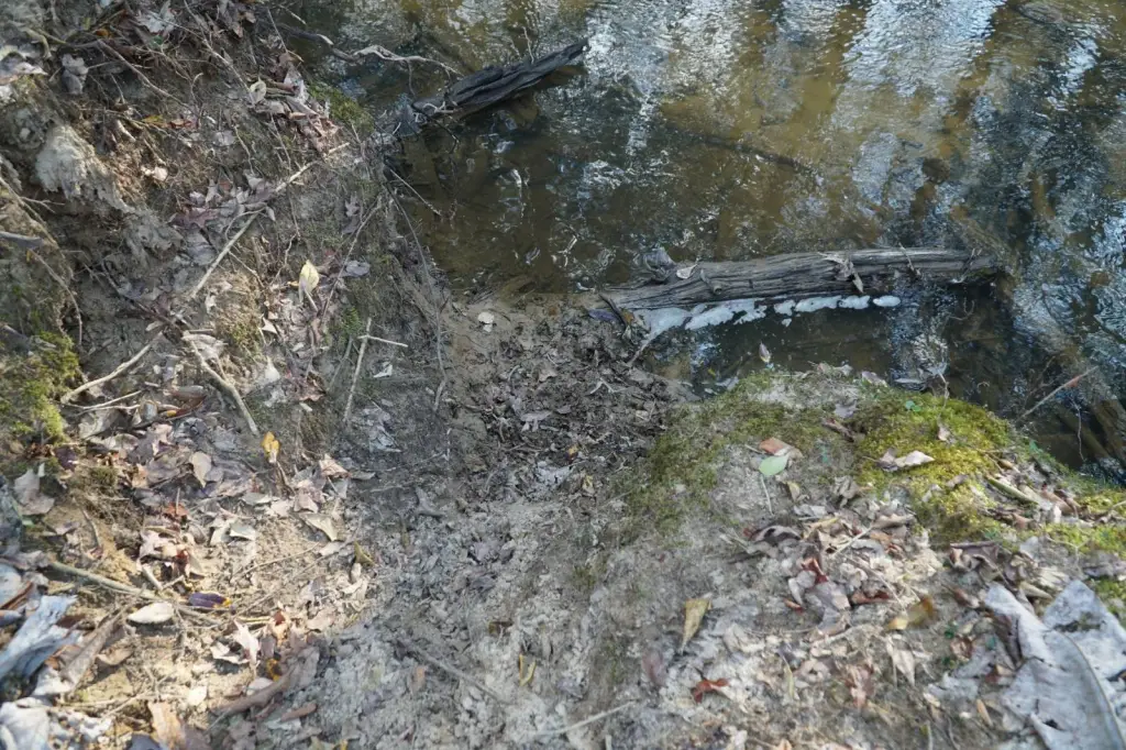 Picture 16