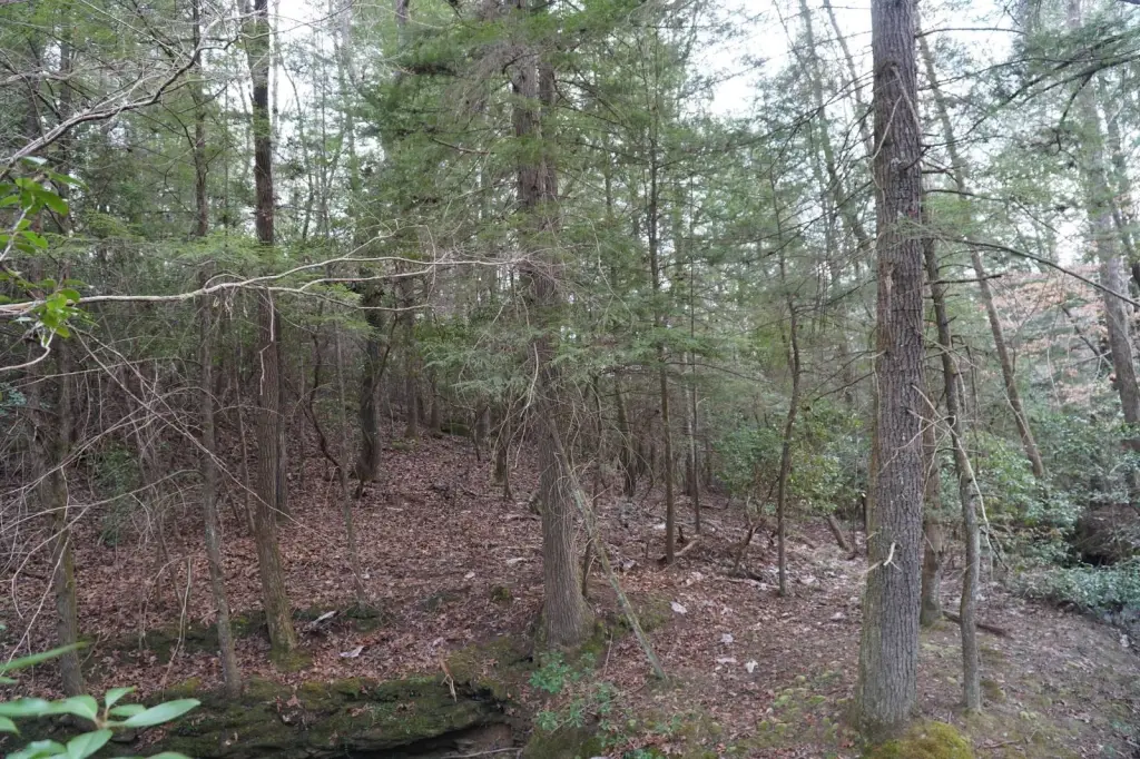 Picture 27