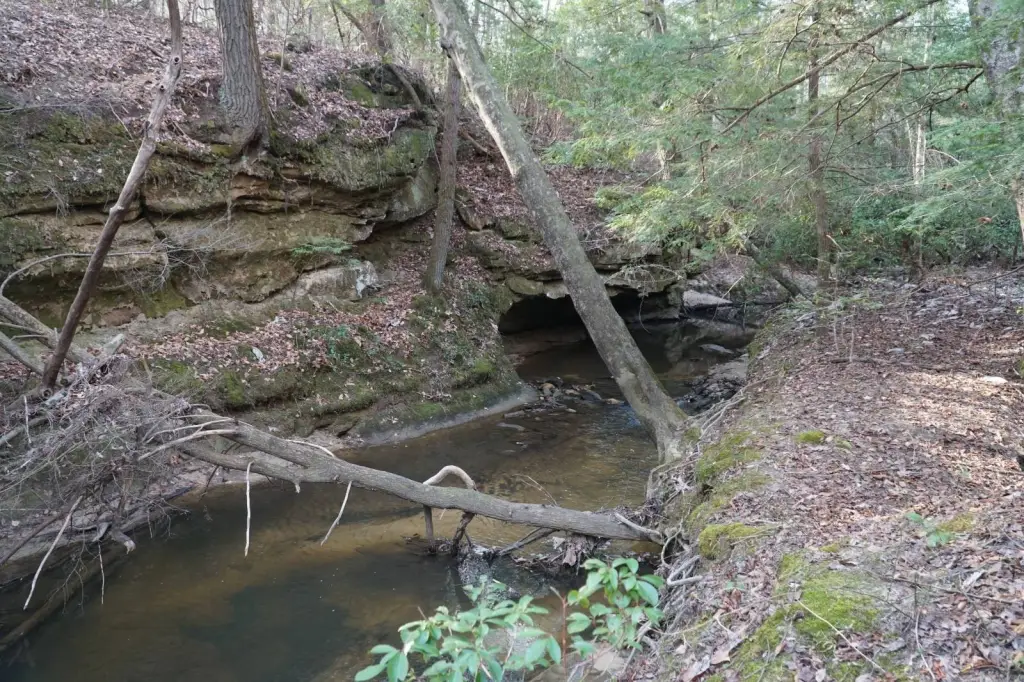 Picture 15