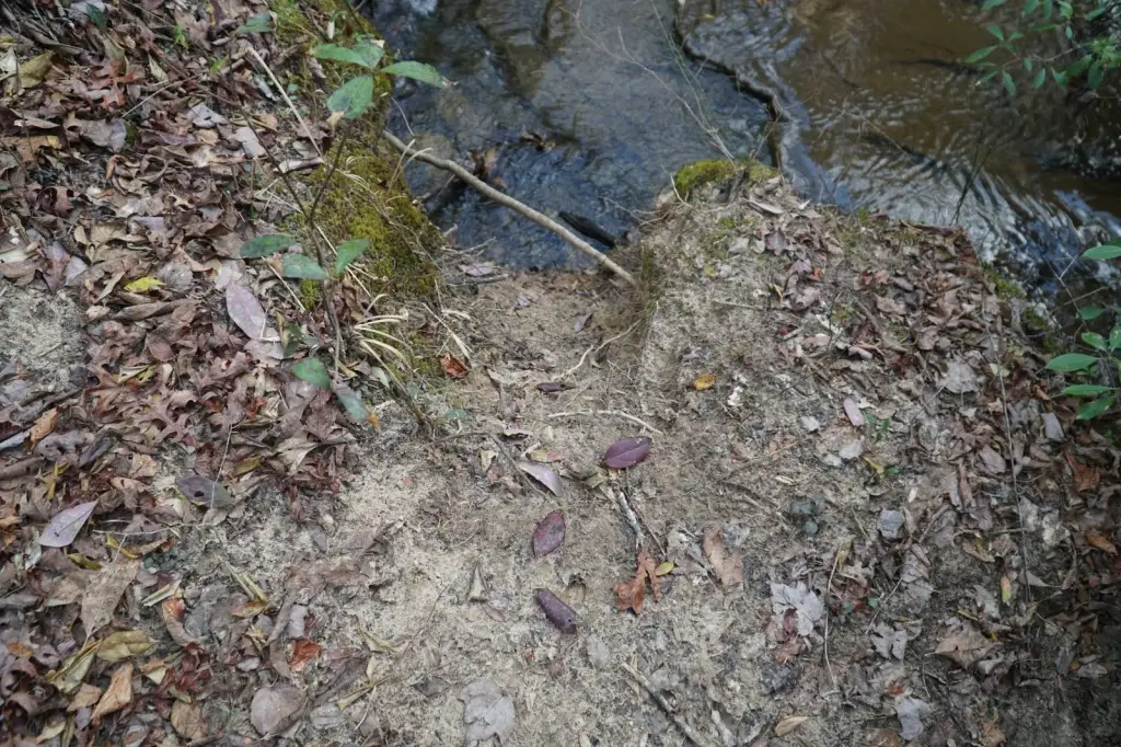 Picture 23