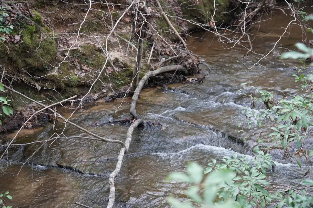 Picture 25