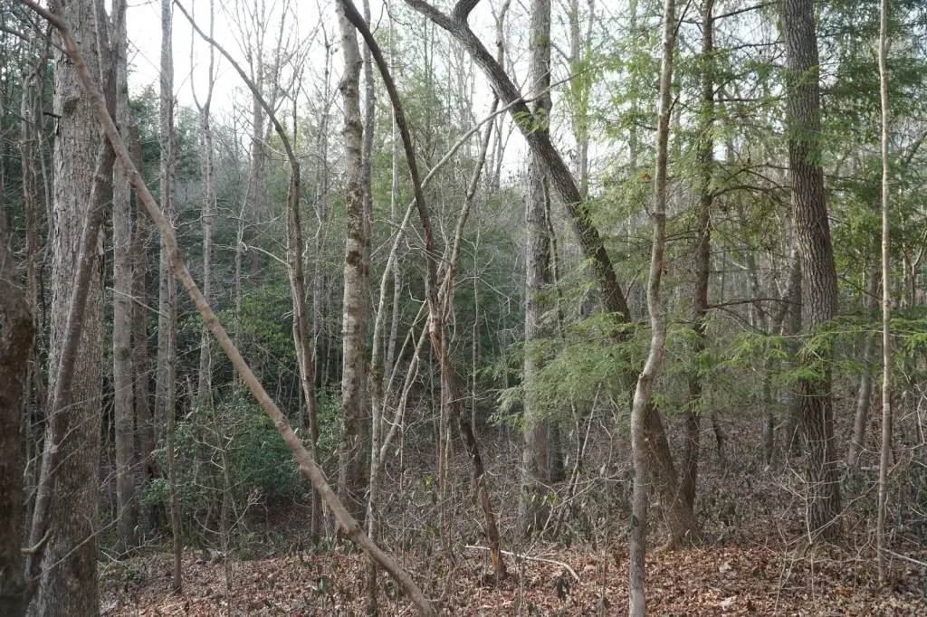Picture 13