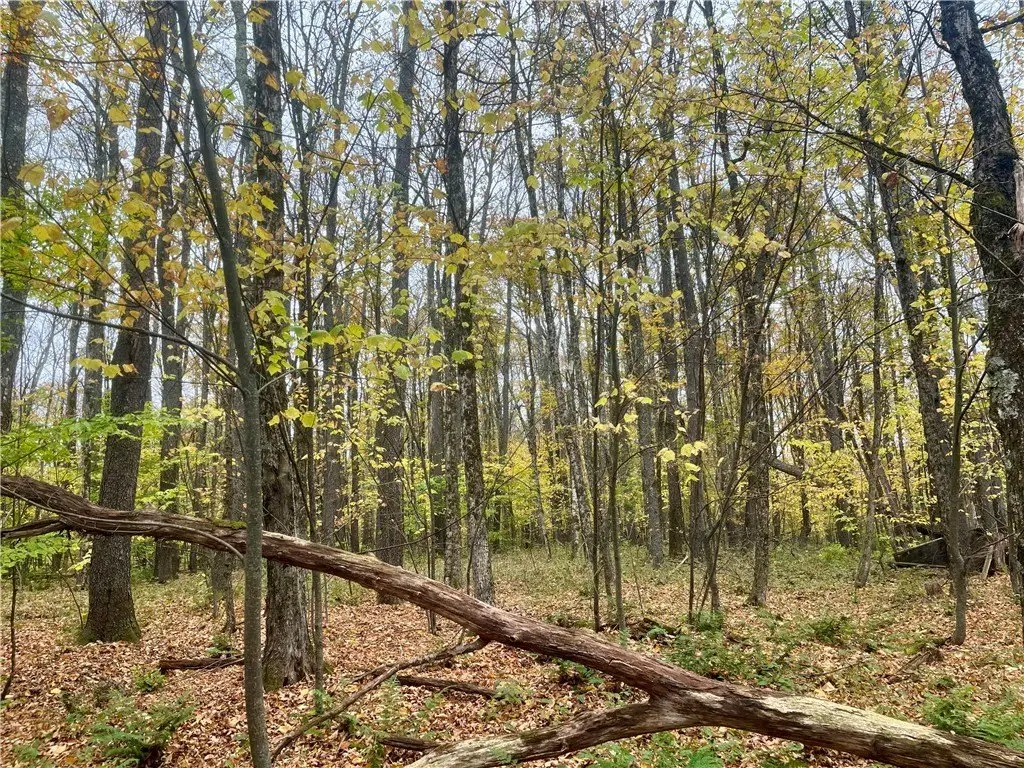 Picture 18