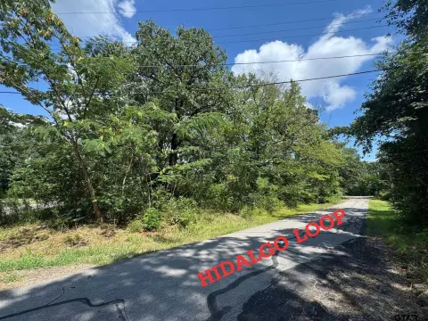 Wooded Lot Near Cedar Creek