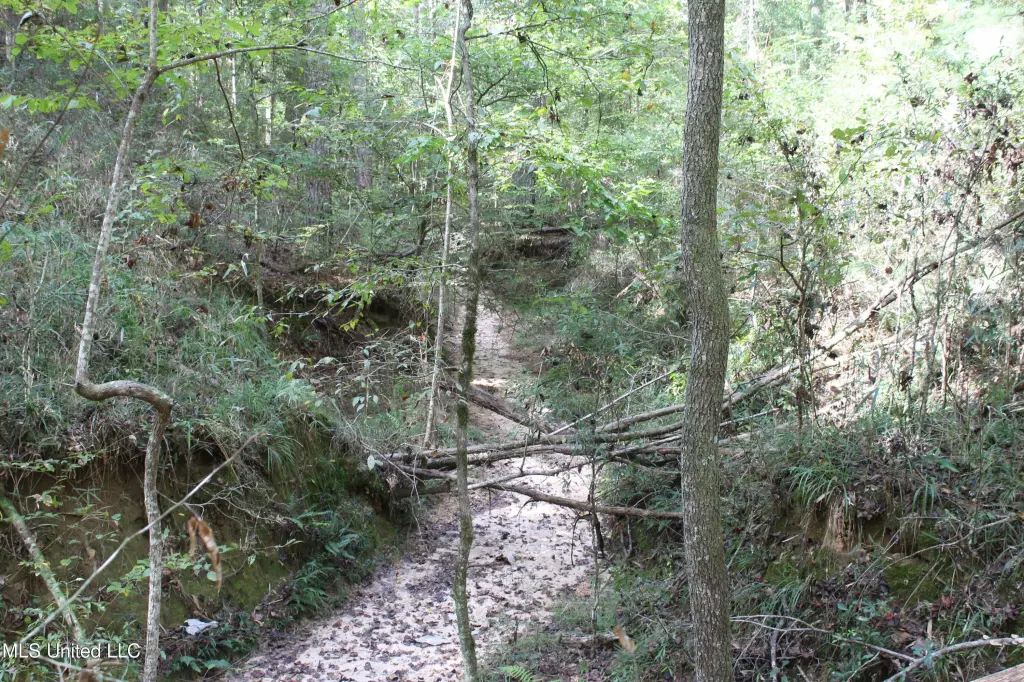 Picture 16