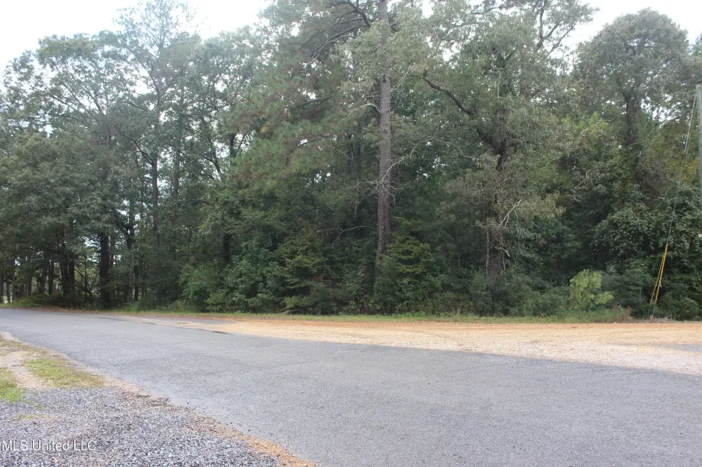 Picture 11