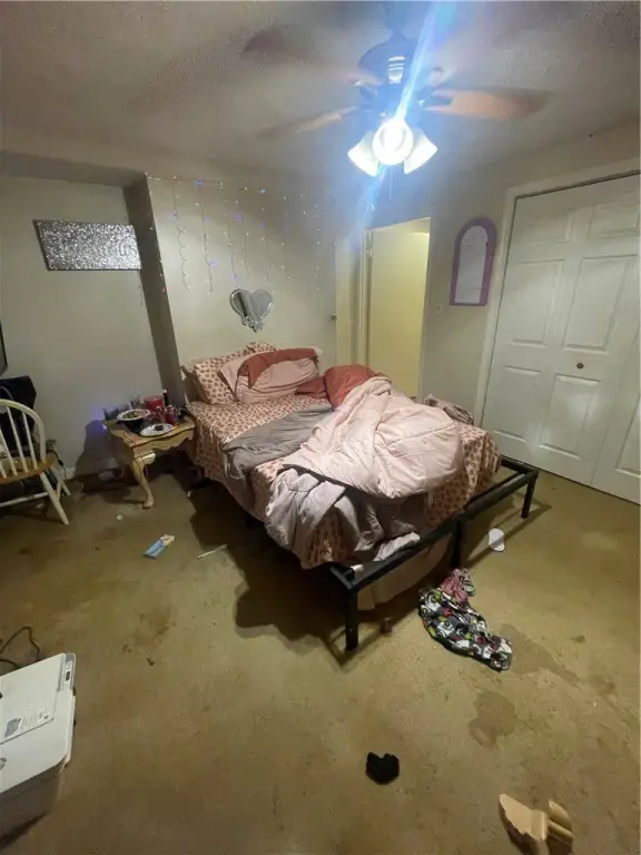 Picture 17