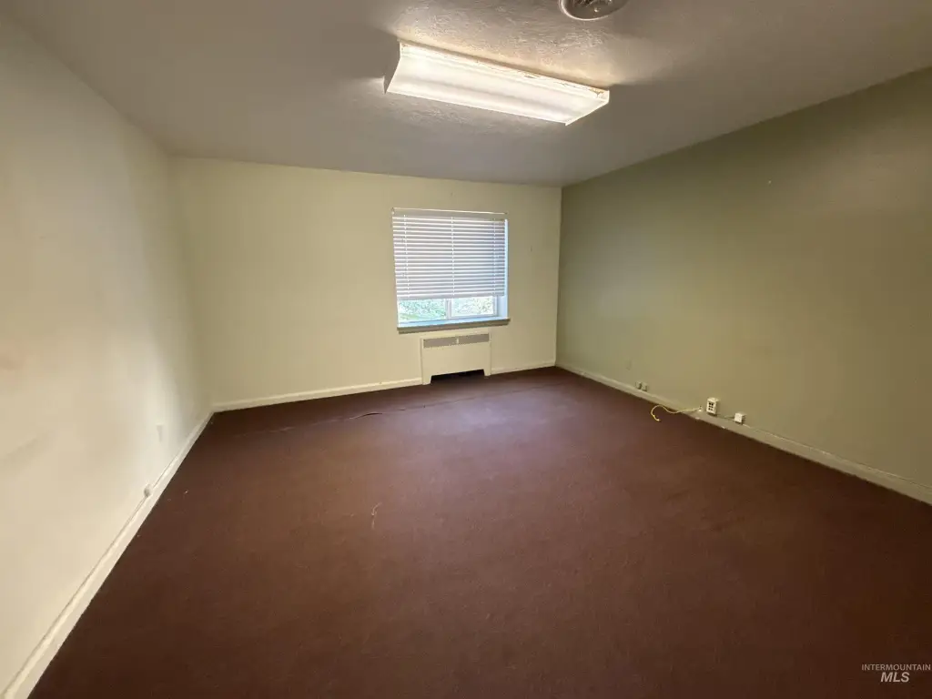 Picture 29