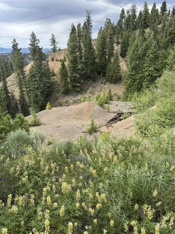 Picture 20