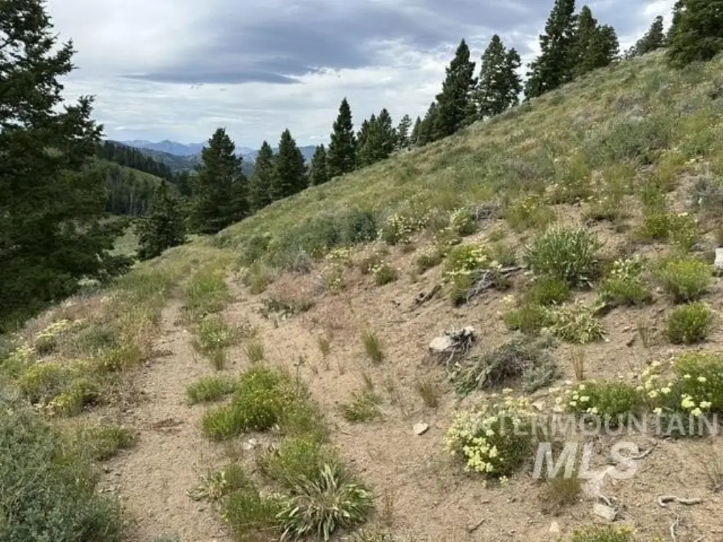 Picture 15