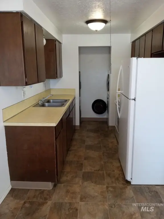 Picture 12