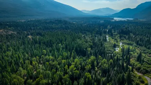 Montana Land Near Bull Lake
