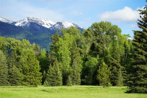 Bigfork, Montana Land with Views