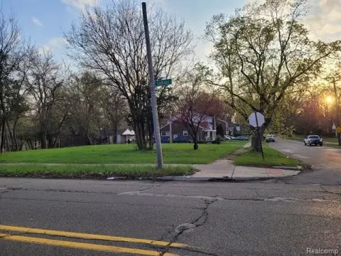 Detroit Vacant Land Opportunity