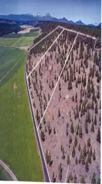 Terrebonne Residential Lots with Acreage