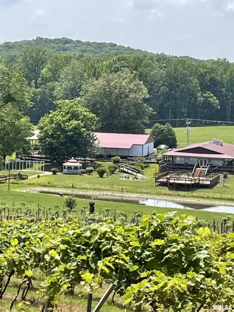 Winery, Vineyard, and Restaurant Opportunity
