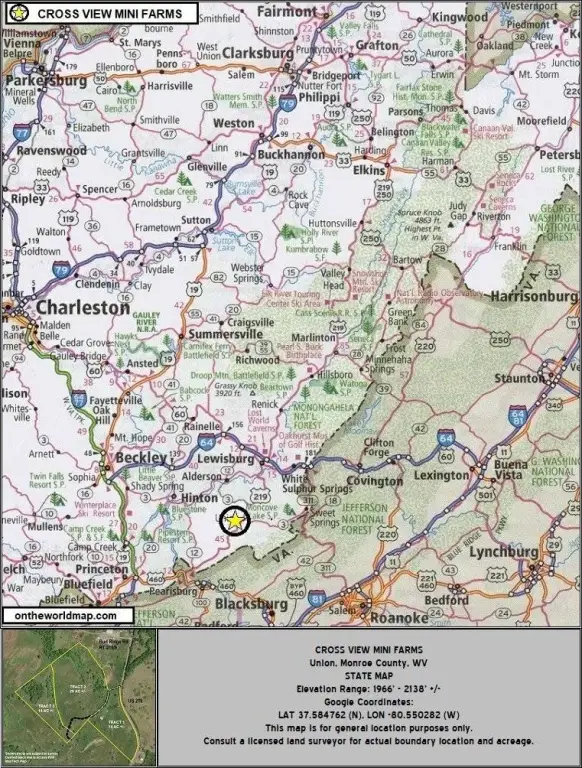 Picture 36
