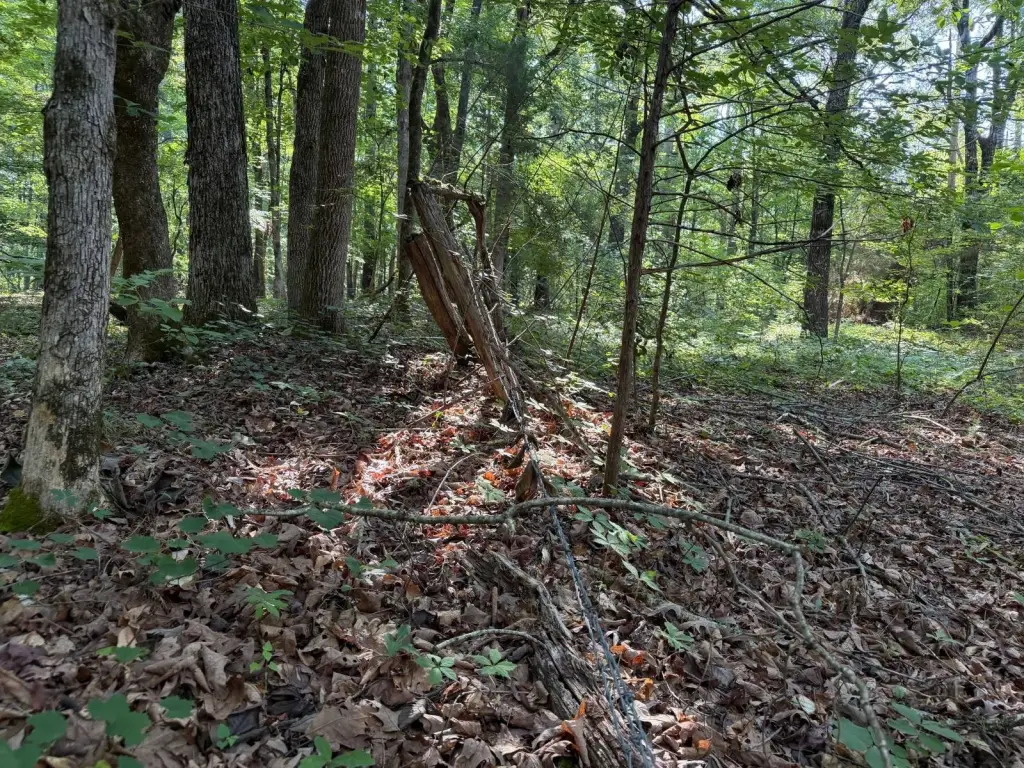 Picture 15