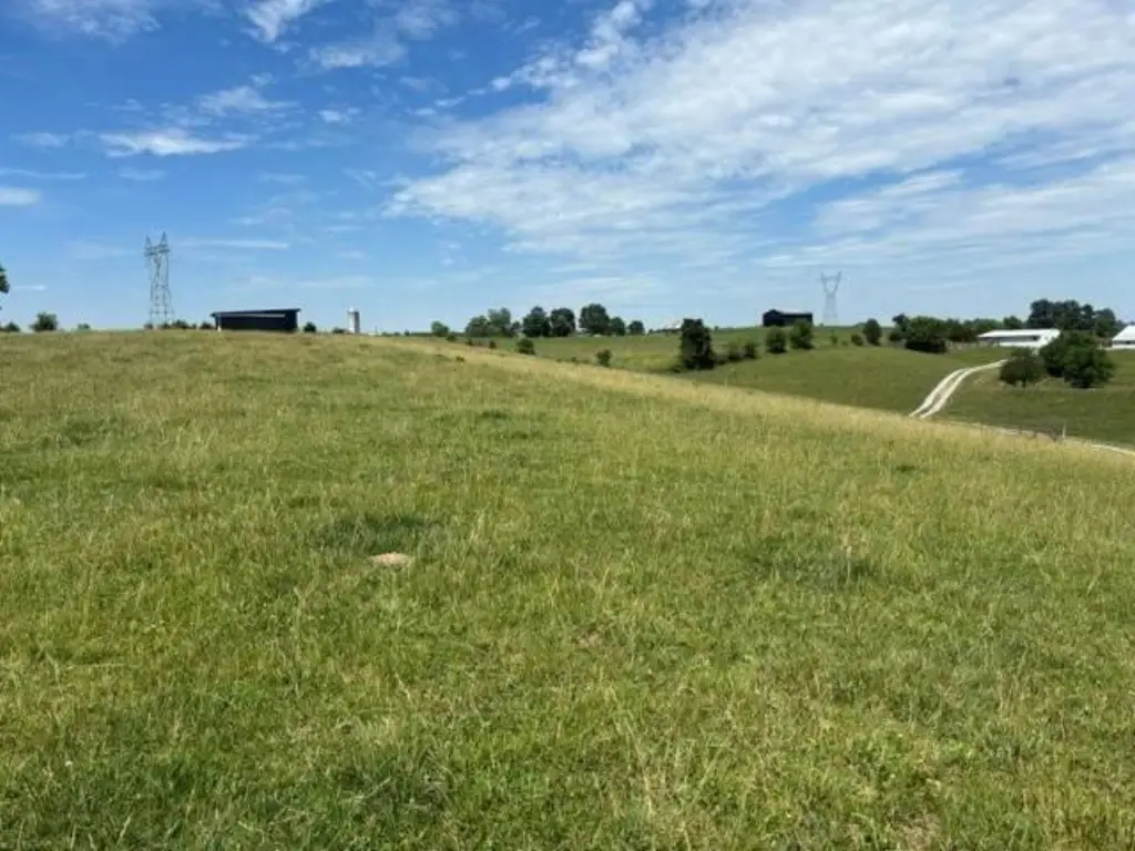 Picture 3
