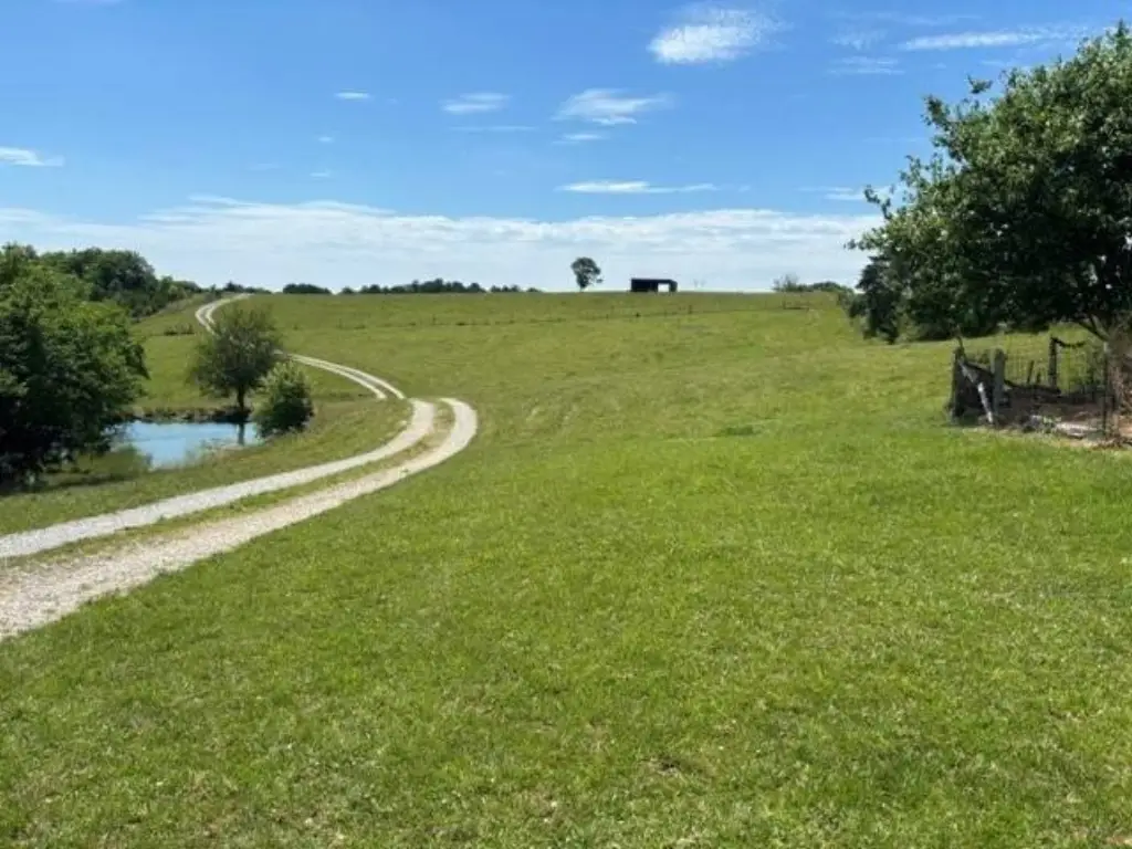 Picture 4
