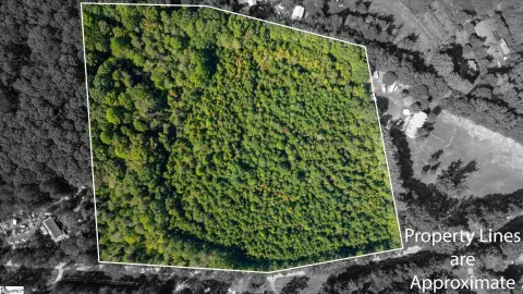 Liberty, SC Wooded Acreage