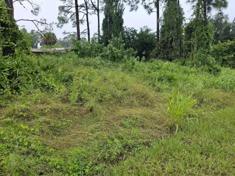 Residential Land in Palm Bay