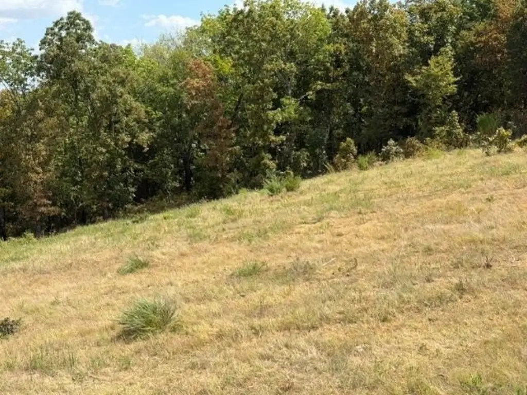 Picture 6