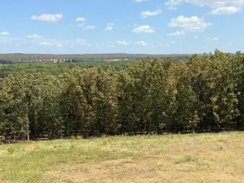 Agricultural Land with Creek Access