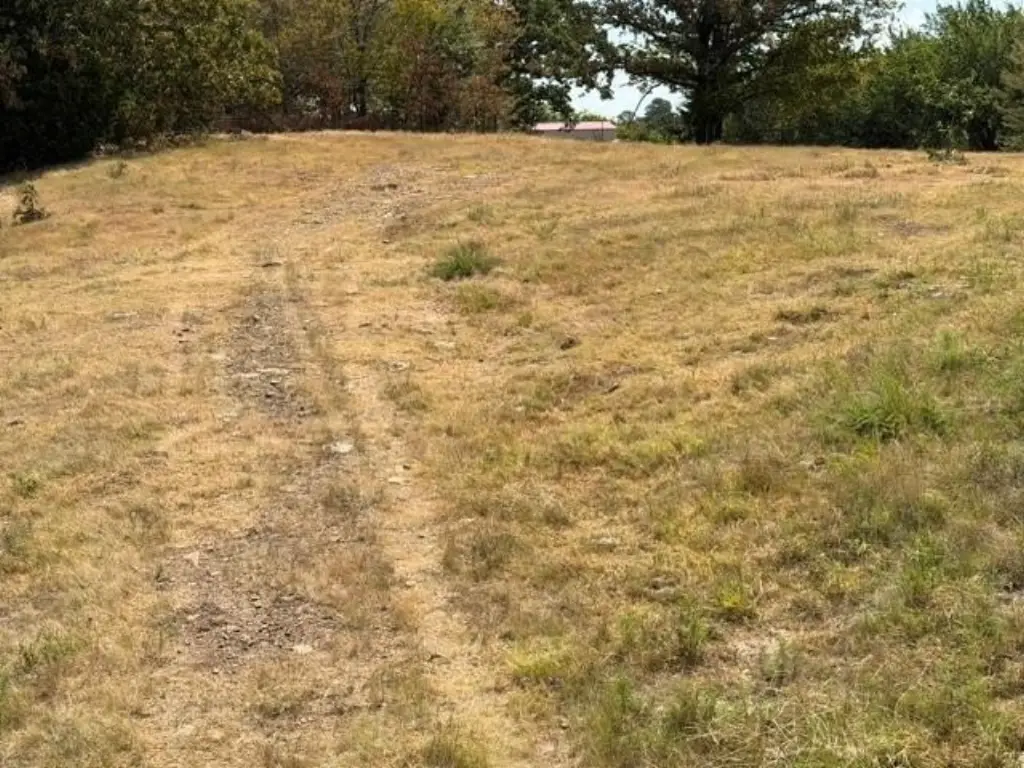 Picture 7