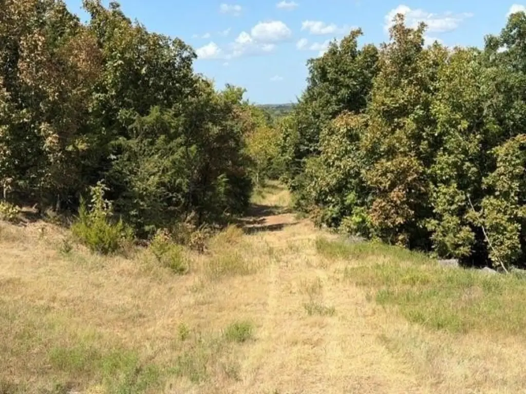 Picture 4
