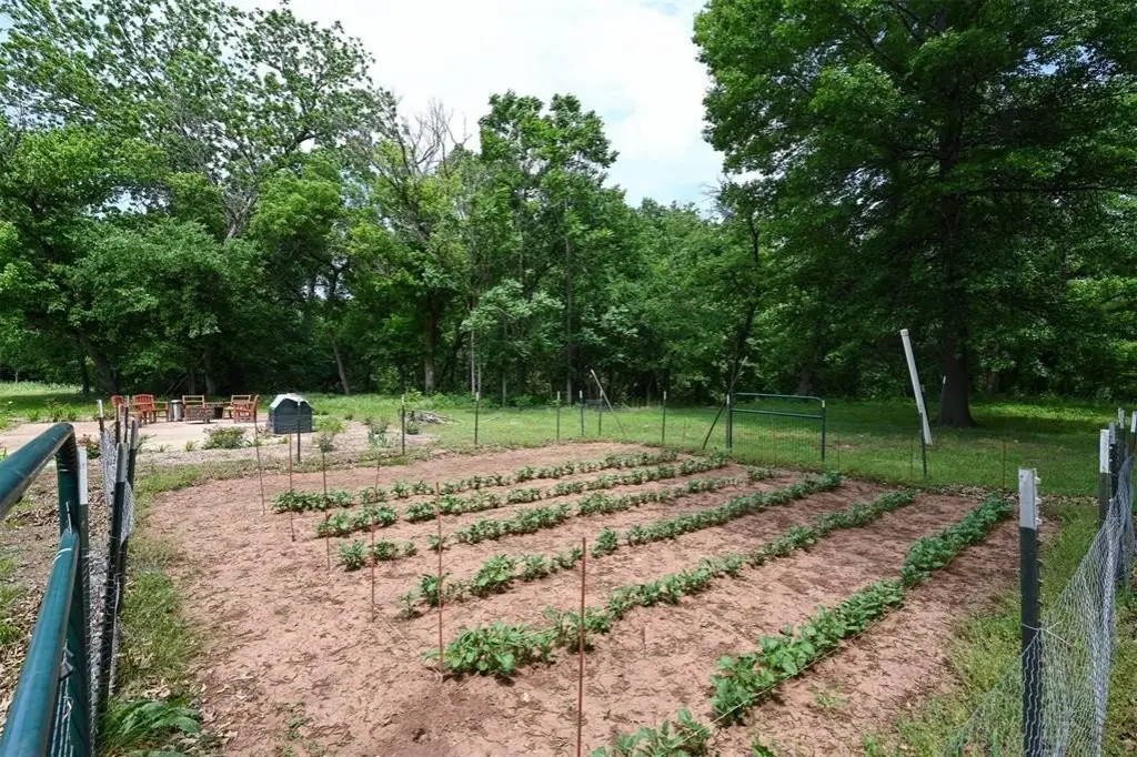 Picture 7