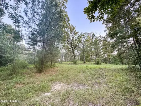 9.5 Acres in Turkey Creek