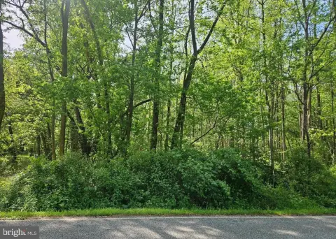 Wooded Lot in Salem County