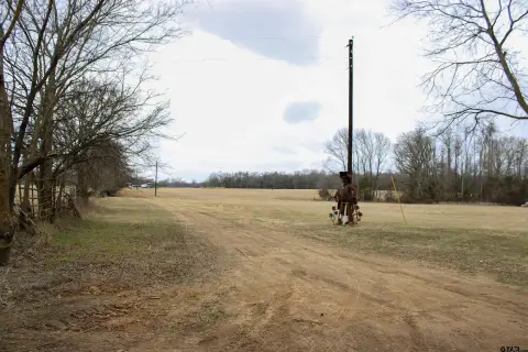 Winnsboro Acreage: Versatile Rural Land