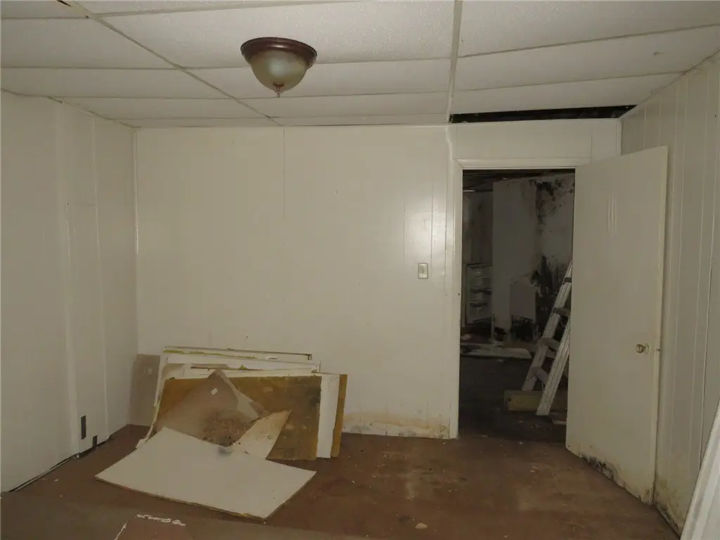 Picture 23