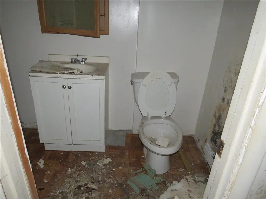 Picture 19