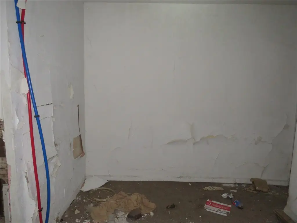 Picture 16