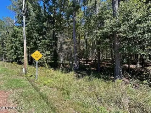 Residential Lots in North Pike