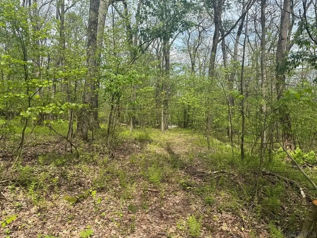 Picture 2