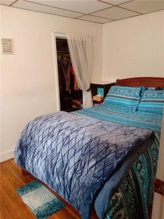 Picture 6