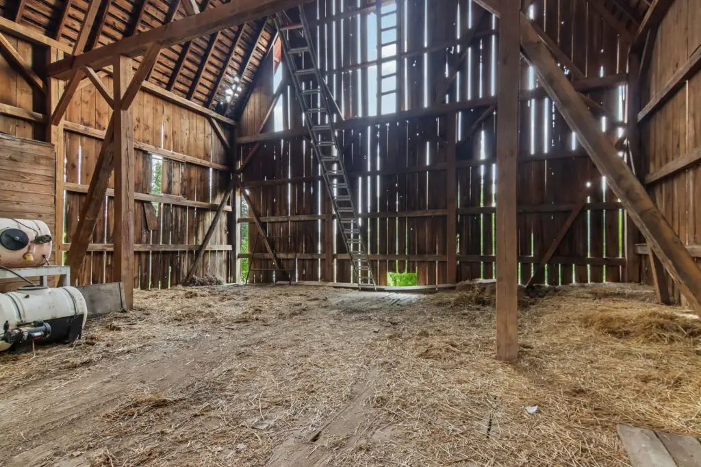 Picture 9