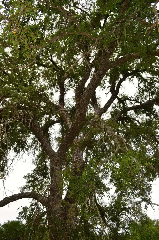 Picture 22