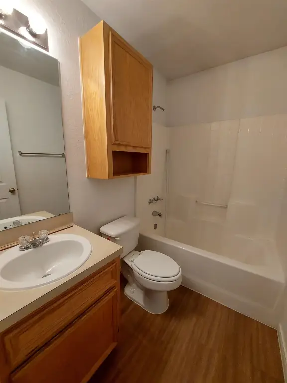 Picture 9