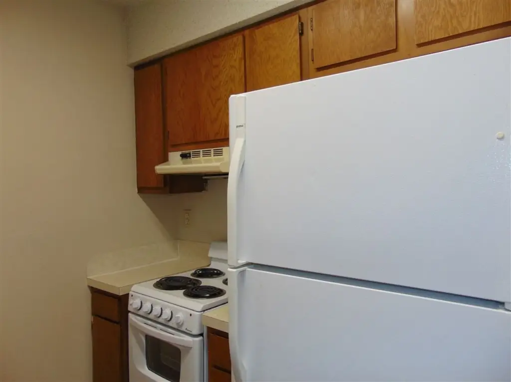 Picture 2