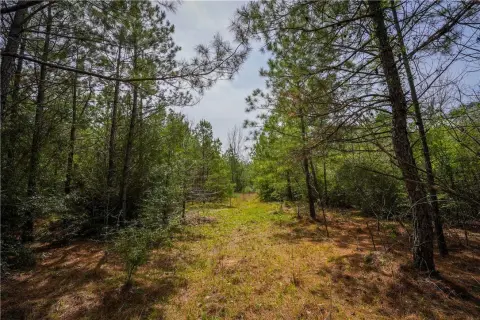Secluded Wooded Land in Newton