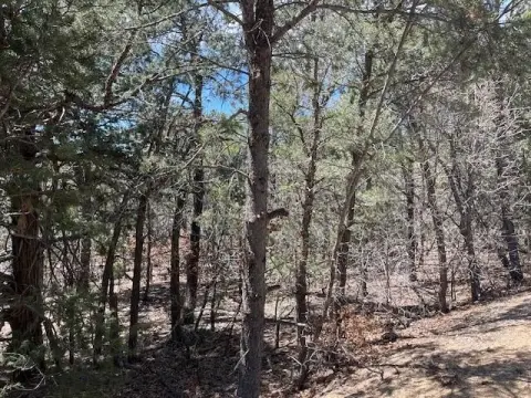 Land in Tijeras, New Mexico