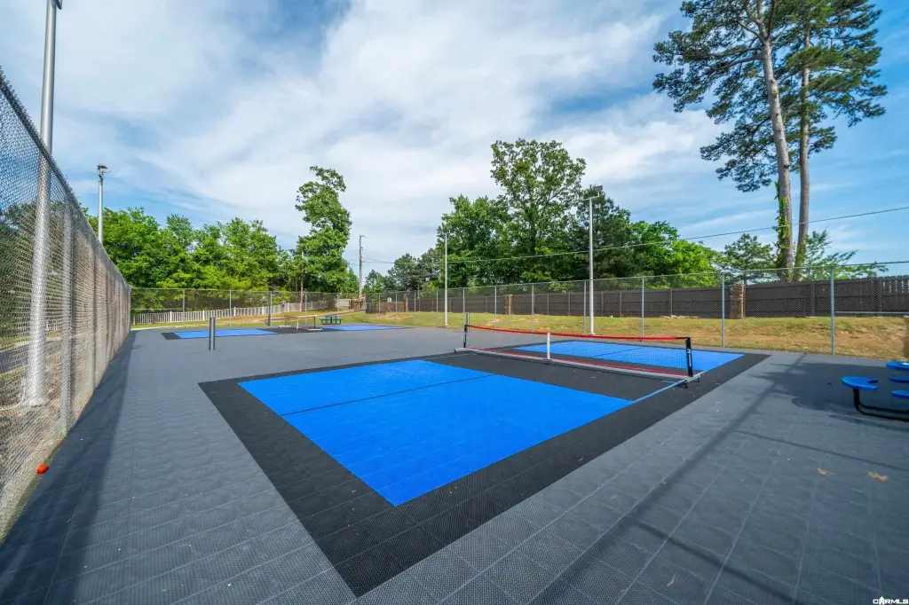 Picture 45